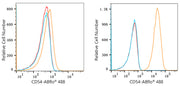 ABflo® 488 Rabbit anti-Human ICAM-1/CD54 mAb