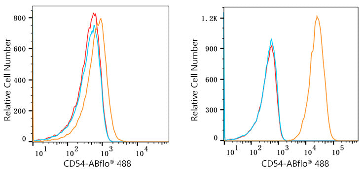 ABflo® 488 Rabbit anti-Human ICAM-1/CD54 mAb