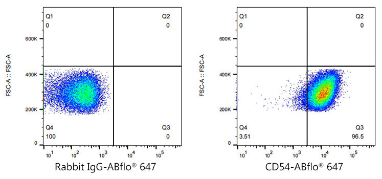 ABflo® 647 Rabbit anti-Human ICAM-1/CD54 mAb