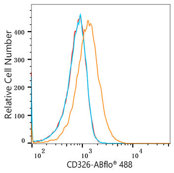 ABflo® 488 Rabbit anti-Human CD326/EPCAM mAb