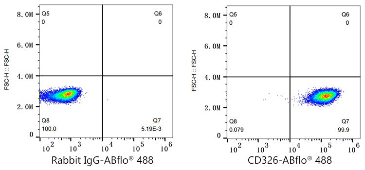 ABflo® 488 Rabbit anti-Human CD326/EPCAM mAb