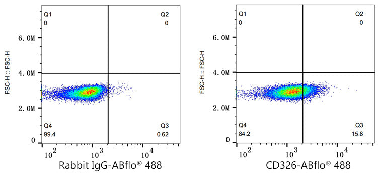 ABflo® 488 Rabbit anti-Human CD326/EPCAM mAb
