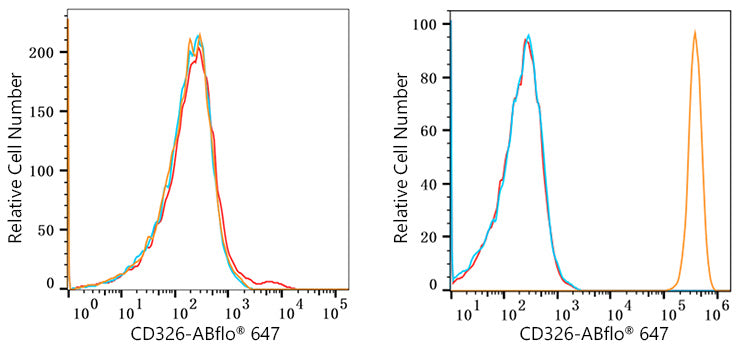 ABflo® 647 Rabbit anti-Human CD326/EPCAM mAb