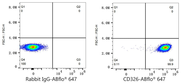 ABflo® 647 Rabbit anti-Human CD326/EPCAM mAb