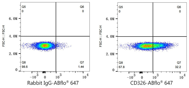 ABflo® 647 Rabbit anti-Human CD326/EPCAM mAb