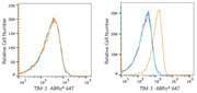 ABflo® 647 Rabbit anti-Human TIM-3/HAVCR2 mAb