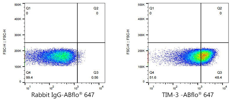 ABflo® 647 Rabbit anti-Human TIM-3/HAVCR2 mAb