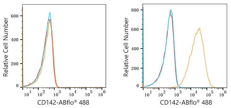 ABflo® 488 Rabbit anti-Human CD142 mAb