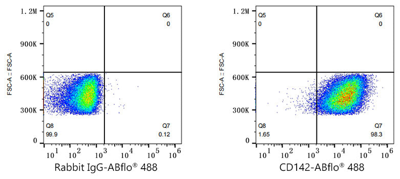 ABflo® 488 Rabbit anti-Human CD142 mAb