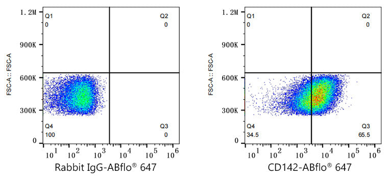 ABflo® 647 Rabbit anti-Human CD142 mAb