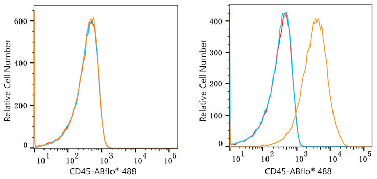ABflo® 488 Rabbit anti-Human/Monkey CD45 mAb
