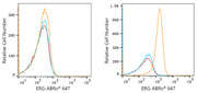 ABflo® 647 Rabbit anti-Human ERG mAb