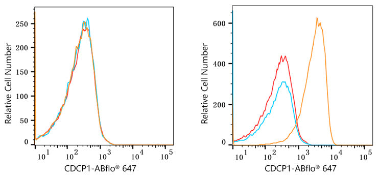 ABflo® 647 Rabbit anti-Human CDCP1 mAb