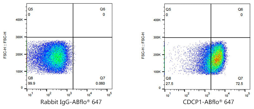 ABflo® 647 Rabbit anti-Human CDCP1 mAb