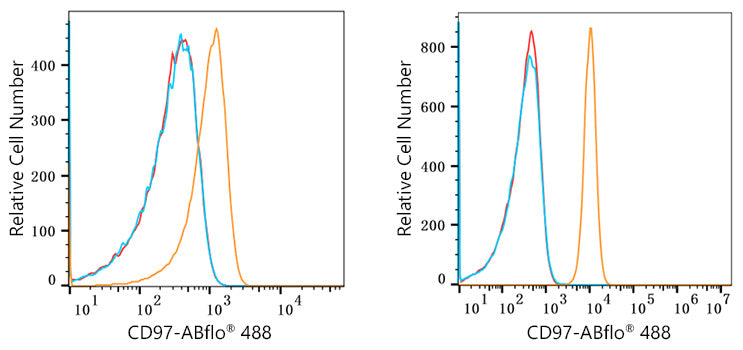 ABflo® 488 Rabbit anti-Human CD97 mAb
