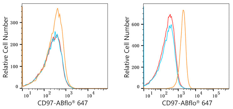 ABflo® 647 Rabbit anti-Human CD97 mAb