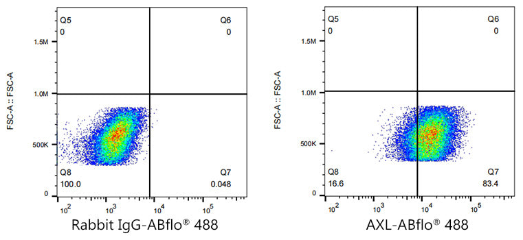 ABflo® 488 Rabbit anti-Human AXL mAb