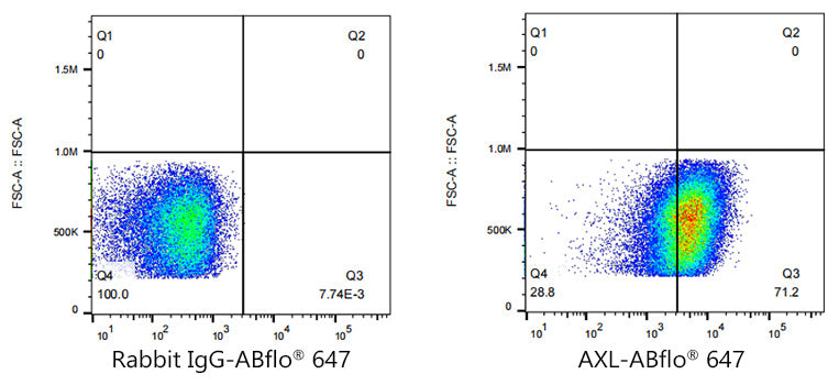 ABflo® 647 Rabbit anti-Human AXL mAb
