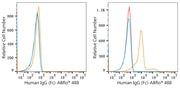 ABflo® 488 Rabbit anti-Human IgG (Fc) mAb