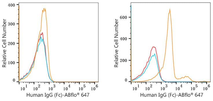 ABflo® 647 Rabbit anti-Human IgG (Fc) mAb