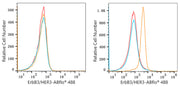 ABflo® 488 Rabbit anti-Human ErbB3/HER3 mAb