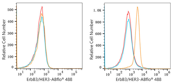 ABflo® 488 Rabbit anti-Human ErbB3/HER3 mAb