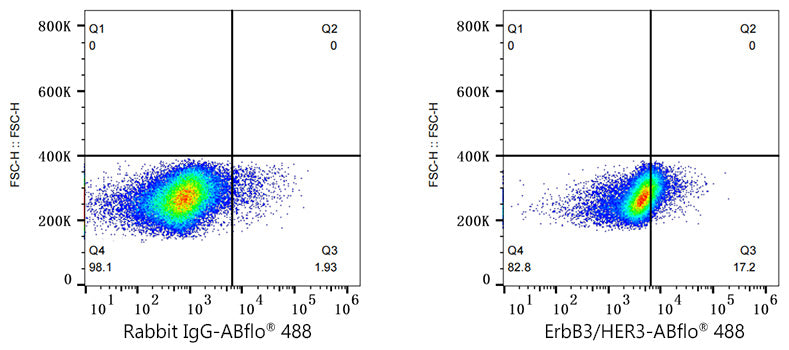 ABflo® 488 Rabbit anti-Human ErbB3/HER3 mAb
