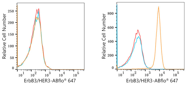 ABflo® 647 Rabbit anti-Human ErbB3/HER3 mAb