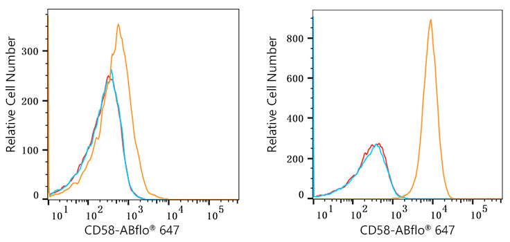 ABflo® 647 Rabbit anti-Human CD58 mAb