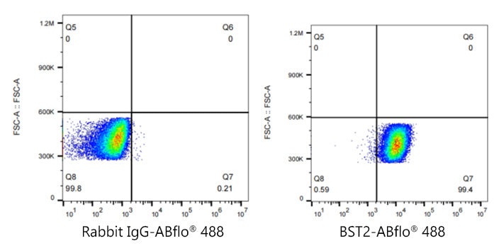 ABflo® 488 Rabbit anti-Human CD317/BST2 mAb