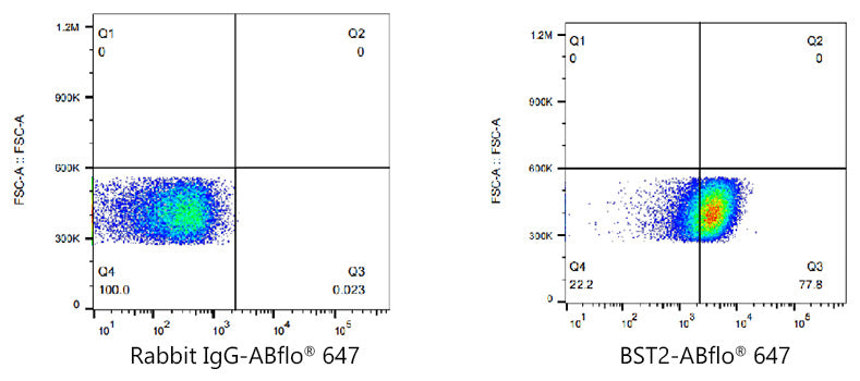 ABflo® 647 Rabbit anti-Human CD317/BST2 mAb