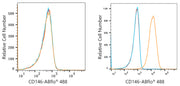 ABflo® 488 Rabbit anti-Human CD146 mAb