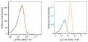 ABflo® 647 Rabbit anti-Human CD146 mAb
