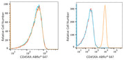 ABflo® 647 Rabbit anti-Human CD45RA mAb