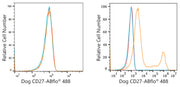 ABflo® 488 Rabbit anti-Dog CD27 mAb