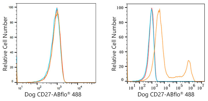 ABflo® 488 Rabbit anti-Dog CD27 mAb