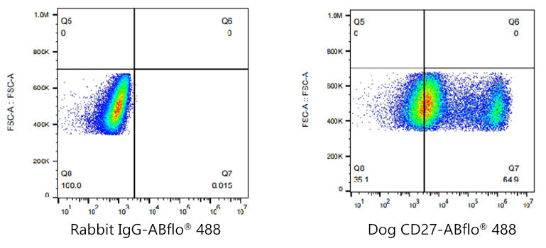 ABflo® 488 Rabbit anti-Dog CD27 mAb