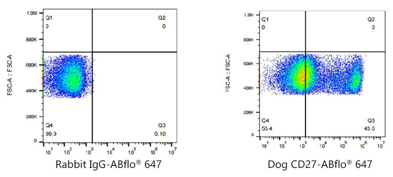 ABflo® 647 Rabbit anti-Dog CD27 mAb