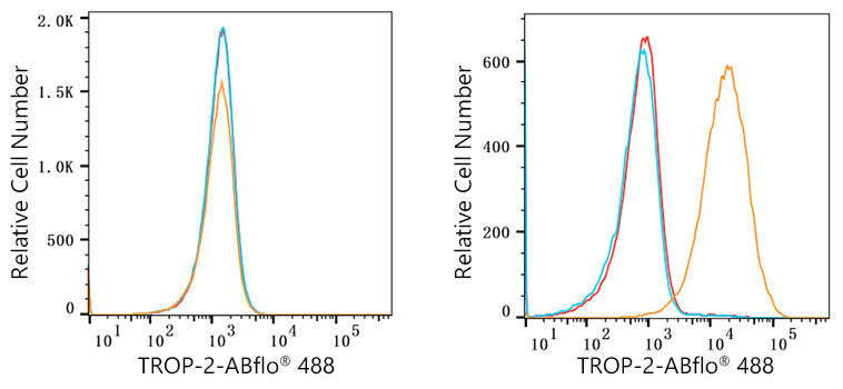 ABflo® 488 Rabbit anti-Human TROP-2 mAb