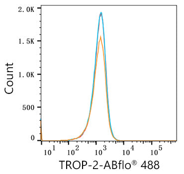 ABflo® 488 Rabbit anti-Human TROP-2 mAb