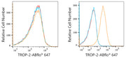 ABflo® 647 Rabbit anti-Human TROP-2 mAb