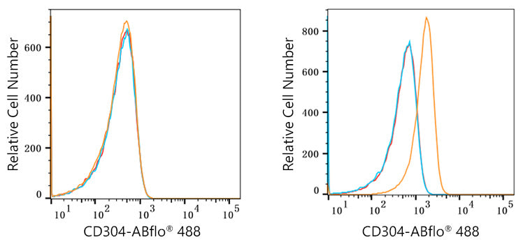 ABflo® 488 Rabbit anti-Human CD304/Neuropilin-1 mAb