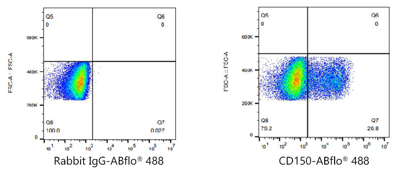 ABflo® 488 Rabbit anti-Human CD150/SLAM mAb