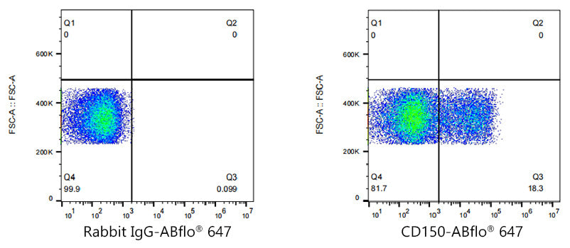 ABflo® 647 Rabbit anti-Human CD150/SLAM mAb
