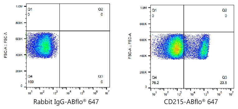 ABflo® 647 Rabbit anti-Human CD215/IL-15R alpha mAb
