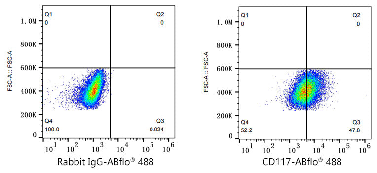 ABflo® 488 Rabbit anti-Human CD117/c-Kit mAb