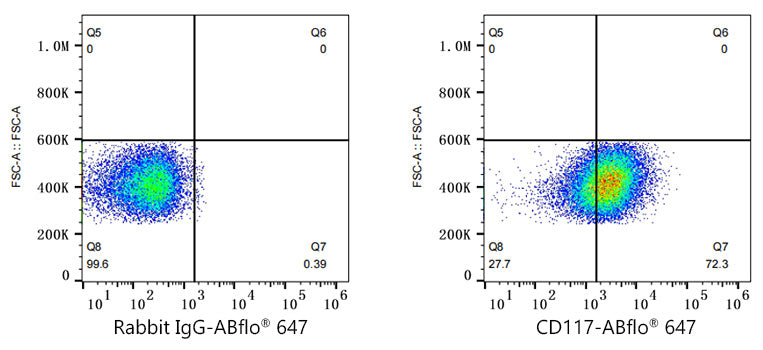 ABflo® 647 Rabbit anti-Human CD117/c-Kit mAb