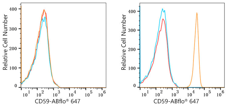 ABflo® 647 Rabbit anti-Human CD59 mAb
