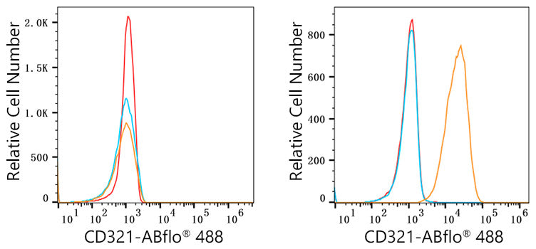 ABflo® 488 Rabbit anti-Human JAM-A/CD321/F11R mAb