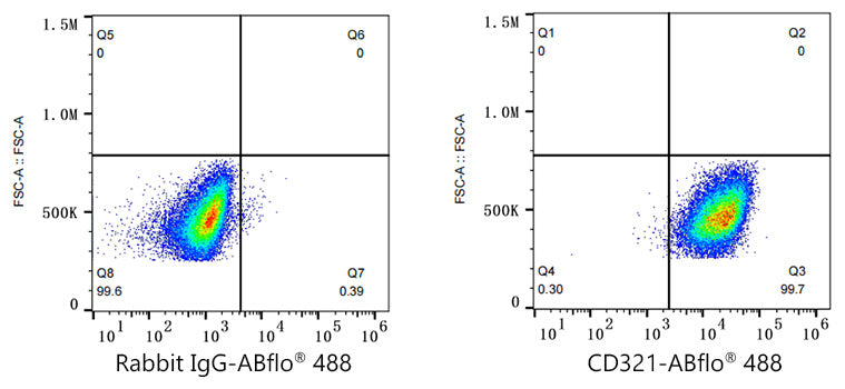 ABflo® 488 Rabbit anti-Human JAM-A/CD321/F11R mAb